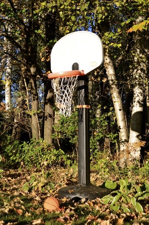 A basketball is left lying in the autumn leaves alongside a woodbine where a backboard, standard,...