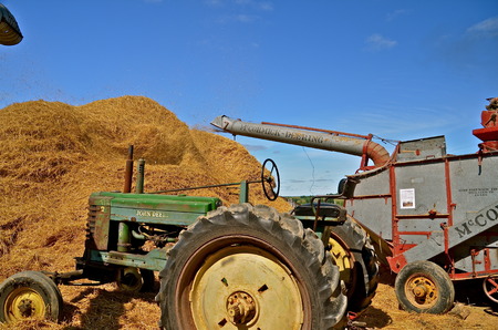 ROLLAG, MINNESOTA, SEPT 1, 2013: Working threshing machines and tractors are on display at the West...