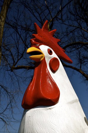 Outdoor painted sculpture of a huge white roosterの写真素材