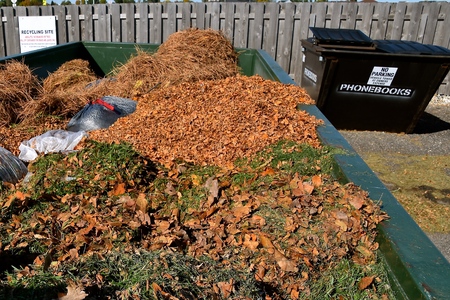 Autumn leaves and disposable plastic bags of grass clippings are in a large container  at a collecting station prior to being moved to a compostの写真素材