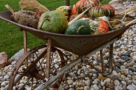 An old steel wheelbarrow is fi full of gourds, squash, and pumpkins of the autumn harvest.の写真素材