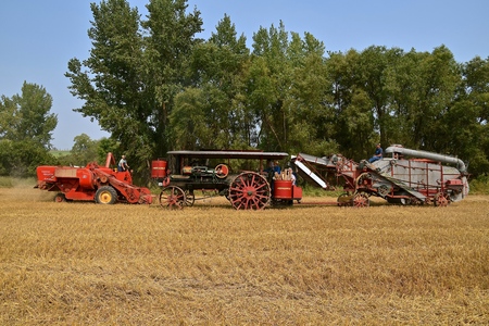 ROLLAG, MINNESOTA, Sept 2, 2017: A Massey Ferguson,combine,  Minneapolis Steam Engine and threshing machine are preparing for harvest demonstrations at the annual WCSTR farm show in Rollag held each Labor Day weekend where 1000's attend.のeditorial素材