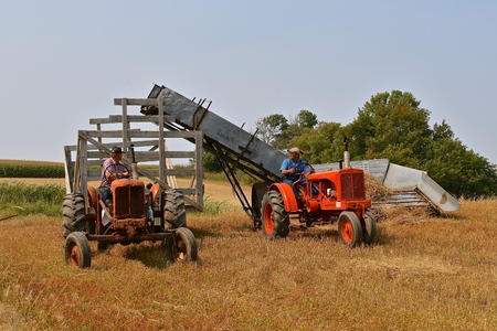 ROLLAG, MINNESOTA, Sept 2, 2017: Old Allis Chalmers tractors and an Acme Loader are harvesting grain...