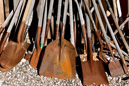 A collection of  various old rusty shoves with wooden handles.の写真素材