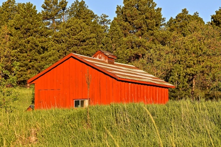 A unique red painted shed or barn with colored shingles and a cupola in need of paint is surrounded by long grass.の写真素材