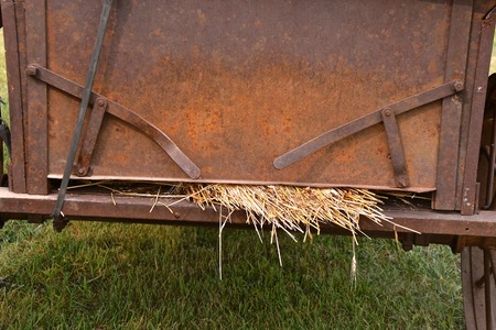Stalks of straw stick out of an  rusty metal gate of an old grain boxの写真素材