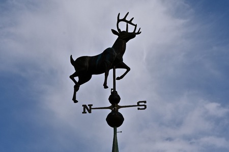 A wind vane with an antlered deer is silhouetted n the skyの写真素材