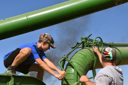 PEKIN, NORTH DAKOTA, September 2, 2018: Two unidentified workers move the thresher blower pipe with...