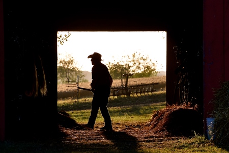 ROLLAG, MINNESOTA, September 1, 2018: An unidentified man cleaning a horse barn is silhouetted in the doorway at the annual WCSTR farm threshers reunion in Rollag held each labor Day weekend where thousands attend.のeditorial素材