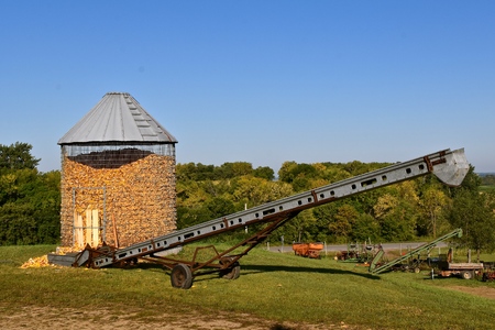 A long old grain elevator  is left in front of an open air crib partially filled with ears of corn .の写真素材