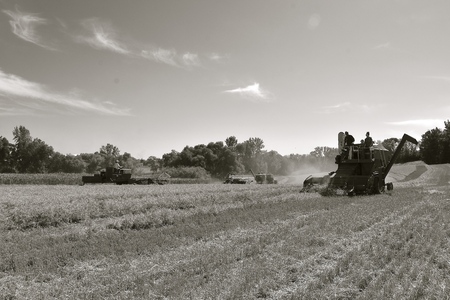 ROLLAG, MINNESOTA, September 1, 2018: Retro self propelled combines  and swathers including an...