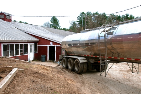 A stainless steel tanker truck backs up to a barn to collect the milk from a dairy operation.