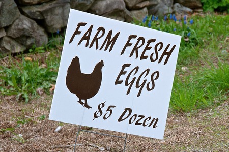 Advertising sign indicates farm fresh eggs for sale at $5 a dozenの写真素材