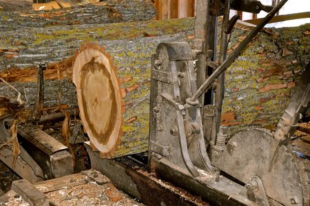Huge logs are ready to be cut into dimensional lumber in a sawmill driven by steam powerの写真素材