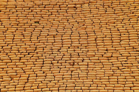 An outside wall is decorated with corn cobs at the Corn Palace in Mitchell, South Dakota.