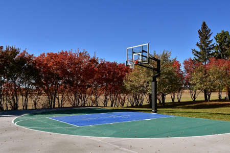 A half court of outdoor basketball with outdoor flooring with autumn colored trees in the backgroundの写真素材