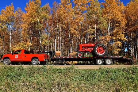 OSAKIS, MINNESOTA, October 9, 2020:  The old restored red Farmall M tractor on a transport trailer  is a brand manufactured by the American company International Harvester Co IH., now Case IHのeditorial素材