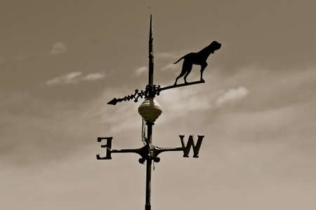 An old weather vane with a hunting dog, east, and west directions (black and white)の写真素材