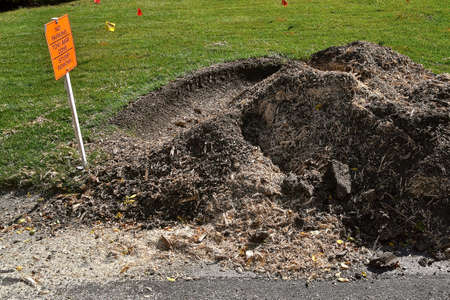 A stump has been ground into wood shavings living a hole in the ground.