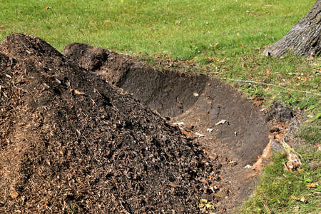 A stump has been ground into wood shavings living a hole in the ground.の写真素材