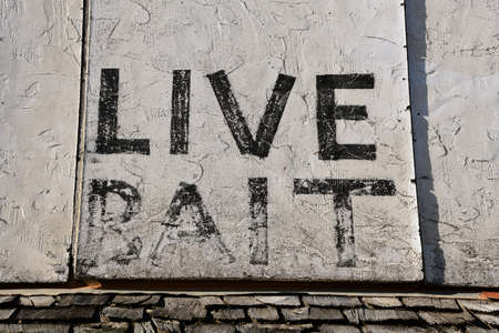 An old faded sign for life bait on a store frontの写真素材