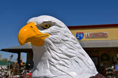 A wood carving of the head of a bald eagle at an antique storeの写真素材