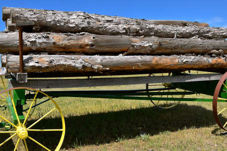 A load of pine logs  are secured to an old steel wheeled wagonの写真素材