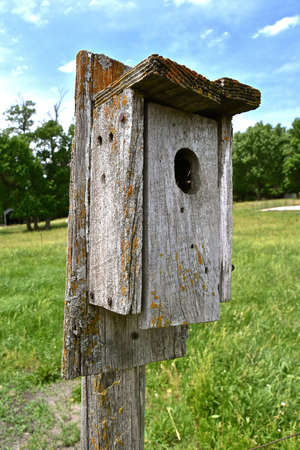 An old weathered bird house attached to a post in a grassy pasture.の写真素材