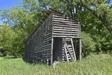 A rickety old weathered wood corn crib   which used air drying remains standing along a woods.の写真素材