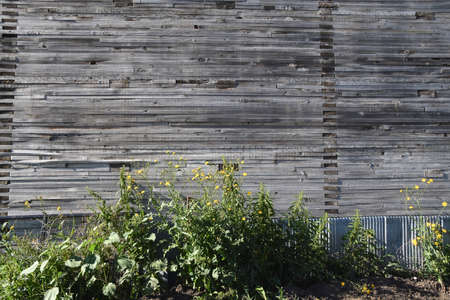The side of an old grain elevator displays show the 2x8 boards are laid interlocking  and flat upon...