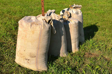 Gunny sacks filled with ground corn and small grains to be used as feed for livestiock.の写真素材