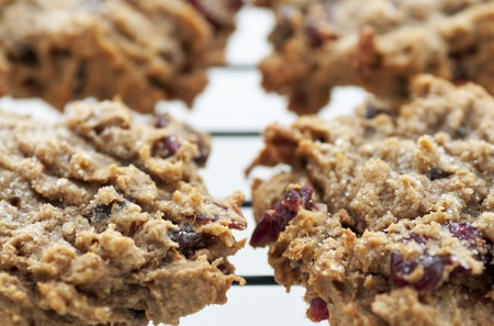 Freshly baked local persimmon, cranberry and pecan cookies for the holidaysの写真素材