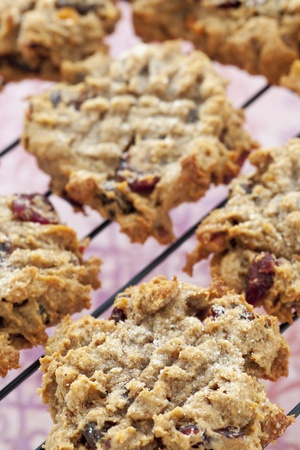 Freshly baked local persimmon, cranberry and pecan cookies for the holidaysの写真素材