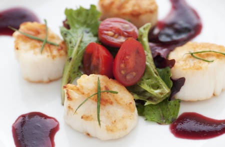 Perfectly seared scallop starter with bright cranberry and balsamic vinegar reductionの写真素材