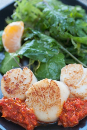 Fresh seafood dish on sauteed greens and red pepper sauceの写真素材
