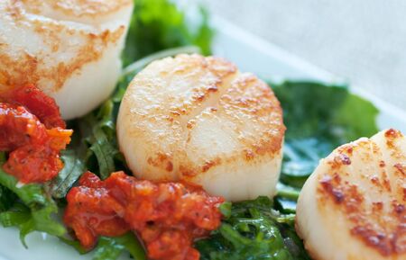 Fresh seafood dish on sauteed greens and red pepper sauceの写真素材