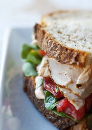 Fresh turkey and vegetable sandwich on rustic whole grain breadの写真素材