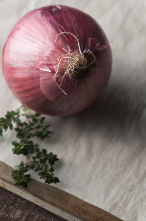 Whole red onion still life with fresh thyme on parchmentの写真素材