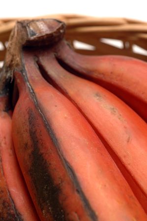 nino  red bananasの写真素材