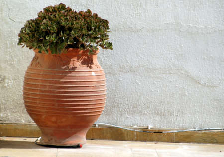 large ceramic with plant greek island sceneの写真素材