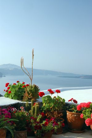 santorini greek islands greece flowers in pots on patio over seaの写真素材