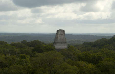 temple III tikal guatemala jungle canopy roofcomb mayan ruins view from temple IVの写真素材