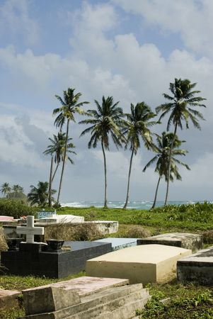 native cemetery by the caribbean sea corn island nicaraguaの写真素材