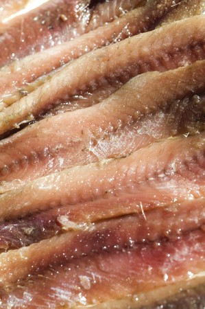 flat fillets of anchovies in pure olive oil in tin canの写真素材