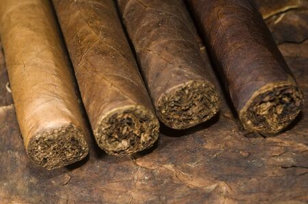 variety hand rolled cigars on tobacco leaf made in Nicaragua