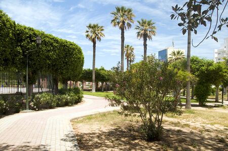gardens  coconut trees walkway in waterfront Oasis Park El Kantaoui Sousse Tunisia Africa