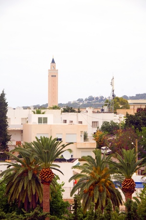 cityscape buildings mosque plants and trees Carthage Tunisia