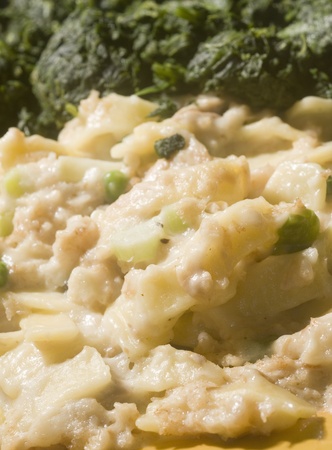 tuna noodle casserole with spinach vegetableの写真素材