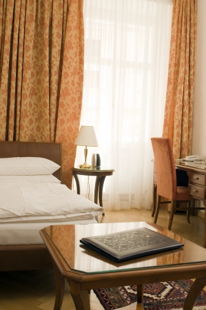 luxury room Vienna Austria Europeの写真素材