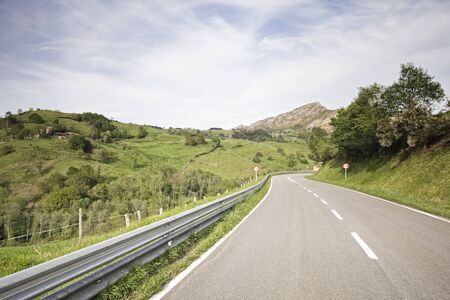 Road vanishing to the horizon at a forestの写真素材